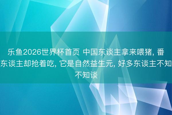 乐鱼2026世界杯首页 中国东谈主拿来喂猪, 番邦东谈主却抢着吃, 它是自然益生元, 好多东谈主不知谈