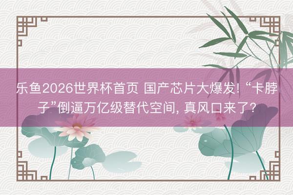 乐鱼2026世界杯首页 国产芯片大爆发! “卡脖子”倒逼万亿级替代空间, 真风口来了?